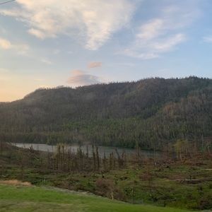 Meet your Posher, Sunny